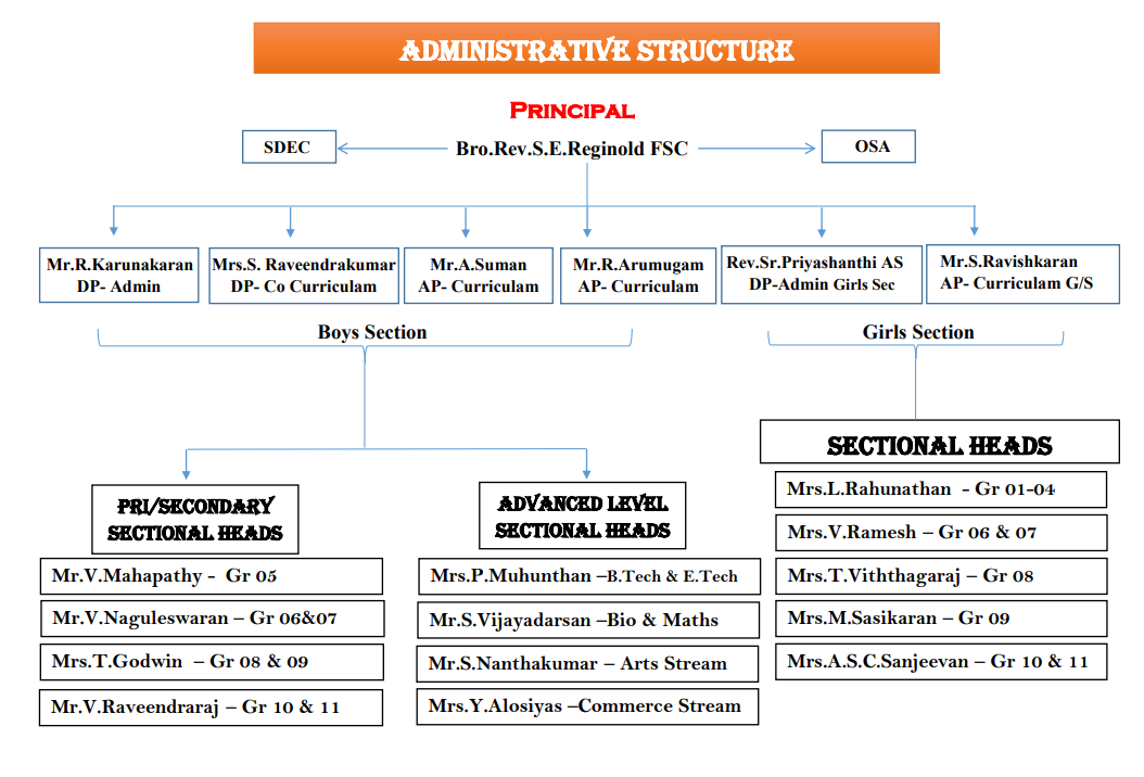 Management Structure Of CFC